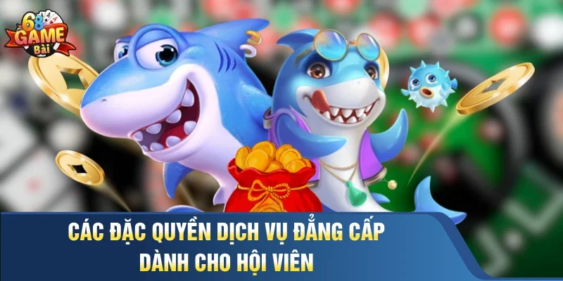 Các đặc quyền dịch vụ đẳng cấp dành cho hội viên